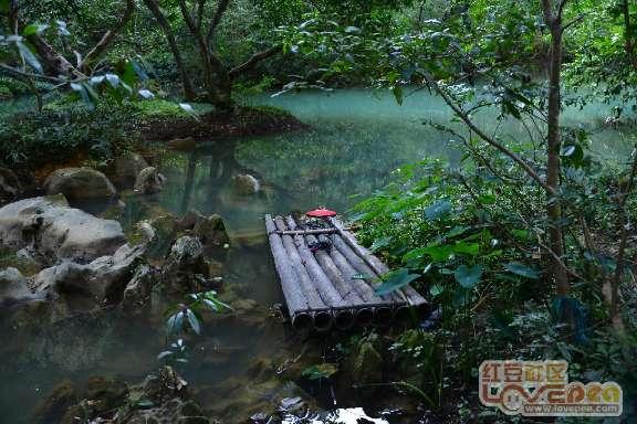 周海媚追思会红磡殡仪馆举办,北京豪宅未售,宠物狗寻新主