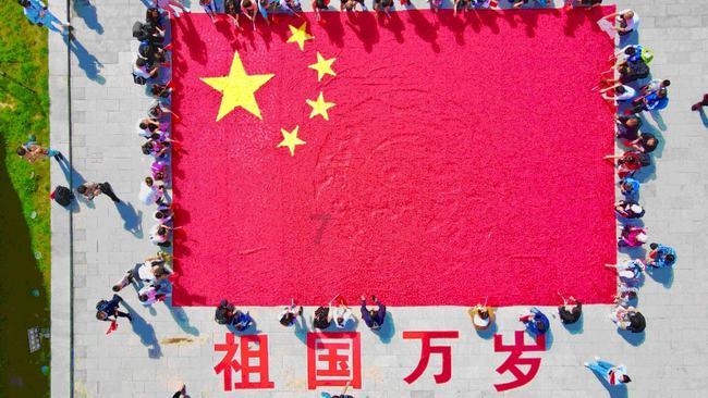 植物大战僵尸10